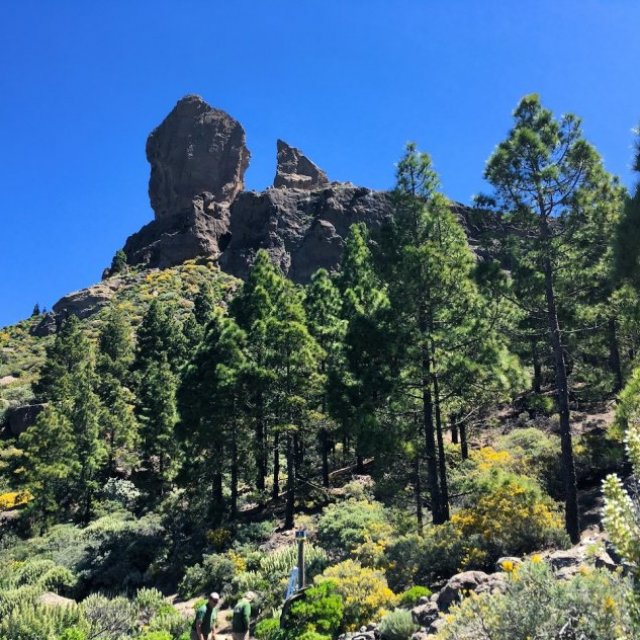 Roque Nublo